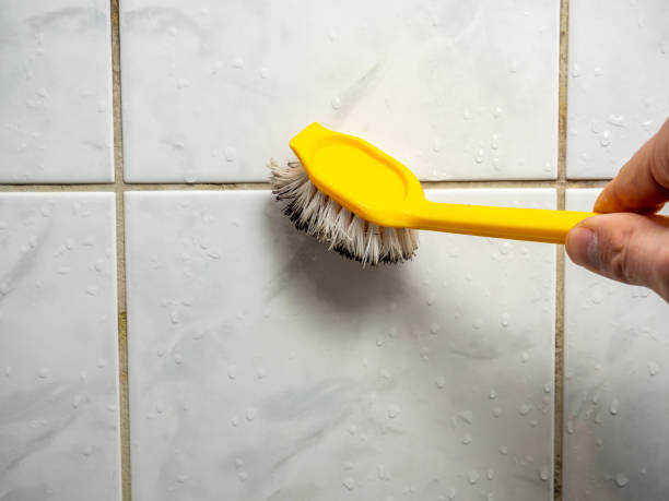  Vassar, MI Mold Removal Pros