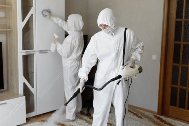 Professional Mold Remediation in Vassar, MI